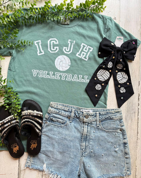 Iowa Colony JH Volleyball