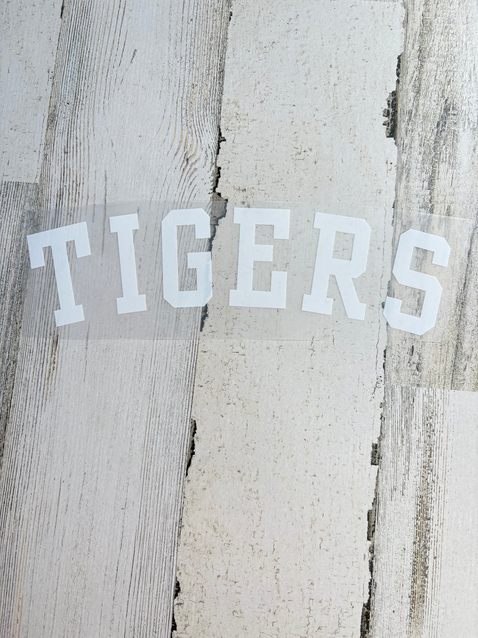 Tigers youth DTF Print