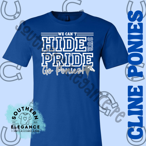 Can't Hide Our Pony Pride