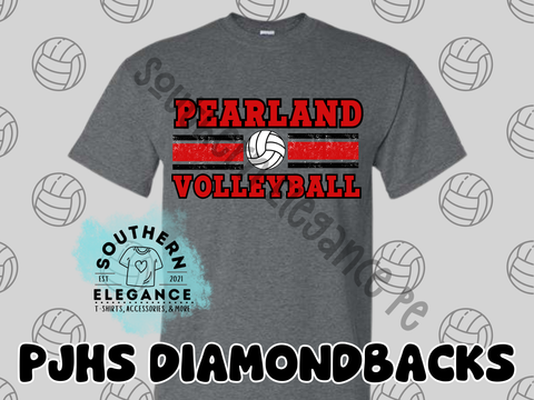 South Volleyball