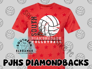 South Volleyball