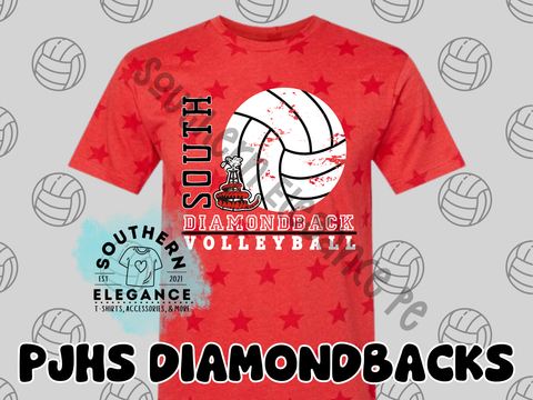 South Volleyball