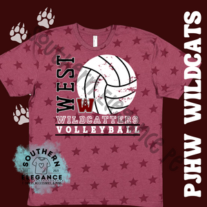 West Volleyball Stars
