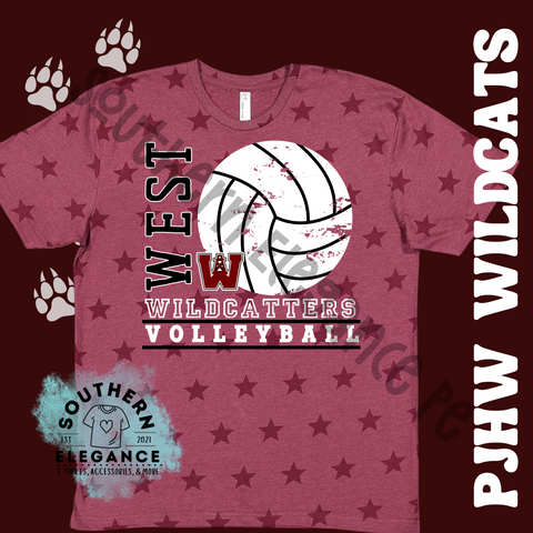 West Volleyball Stars