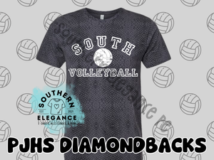 South Volleyball