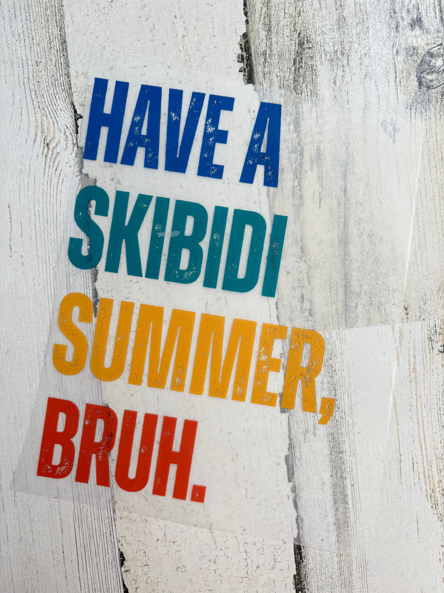 Skibidi Summer Youth DTF Print
