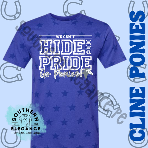 Can't Hide Our Pony Pride