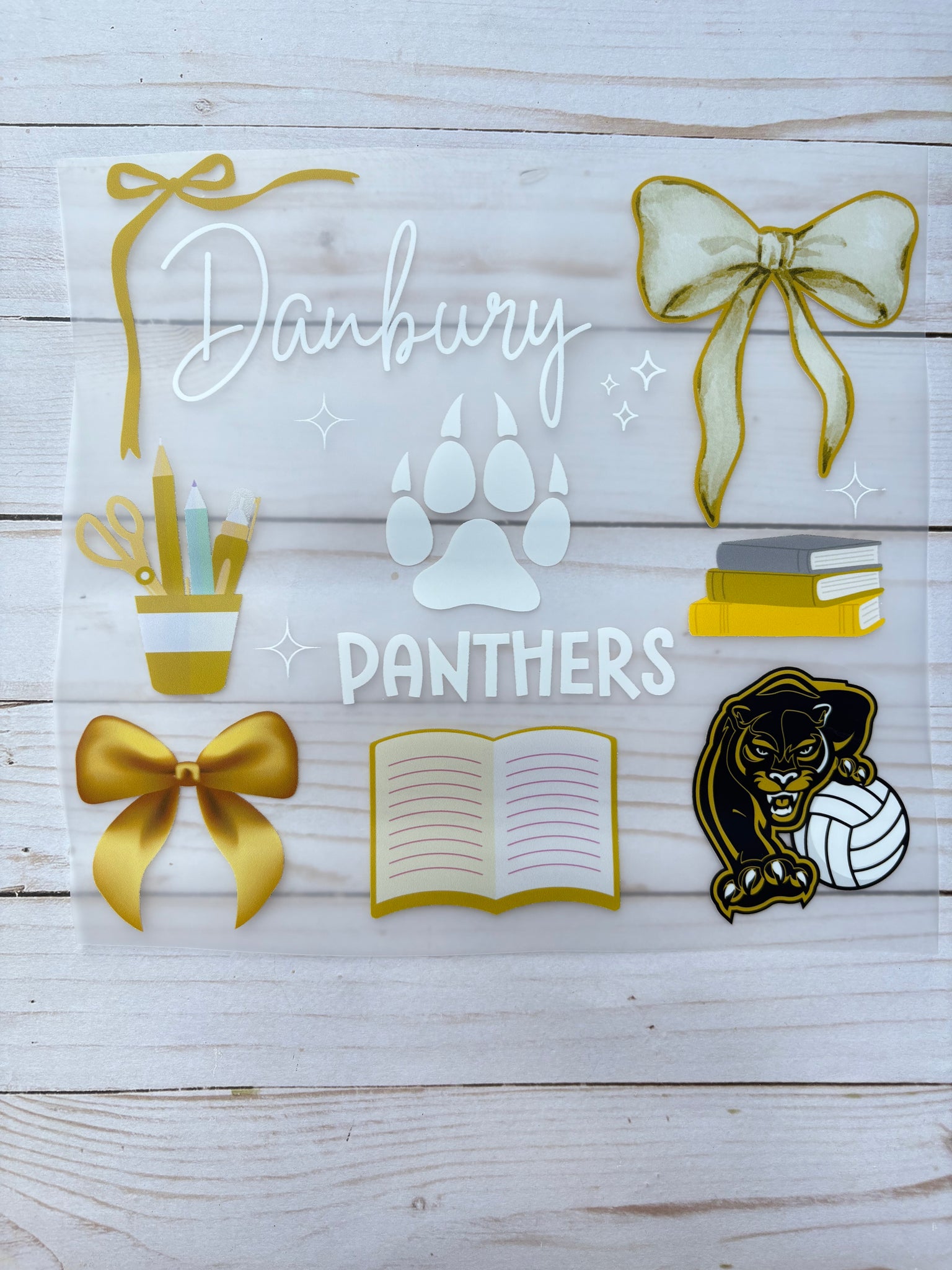 Danbury Panthers Volleyball DTF Print