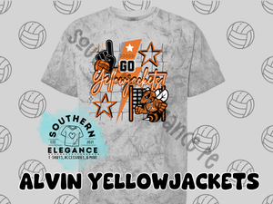 Alvin Yellowjacket Volleyball