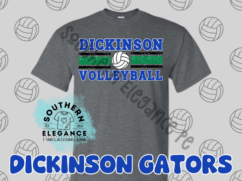 Dickinson Volleyball