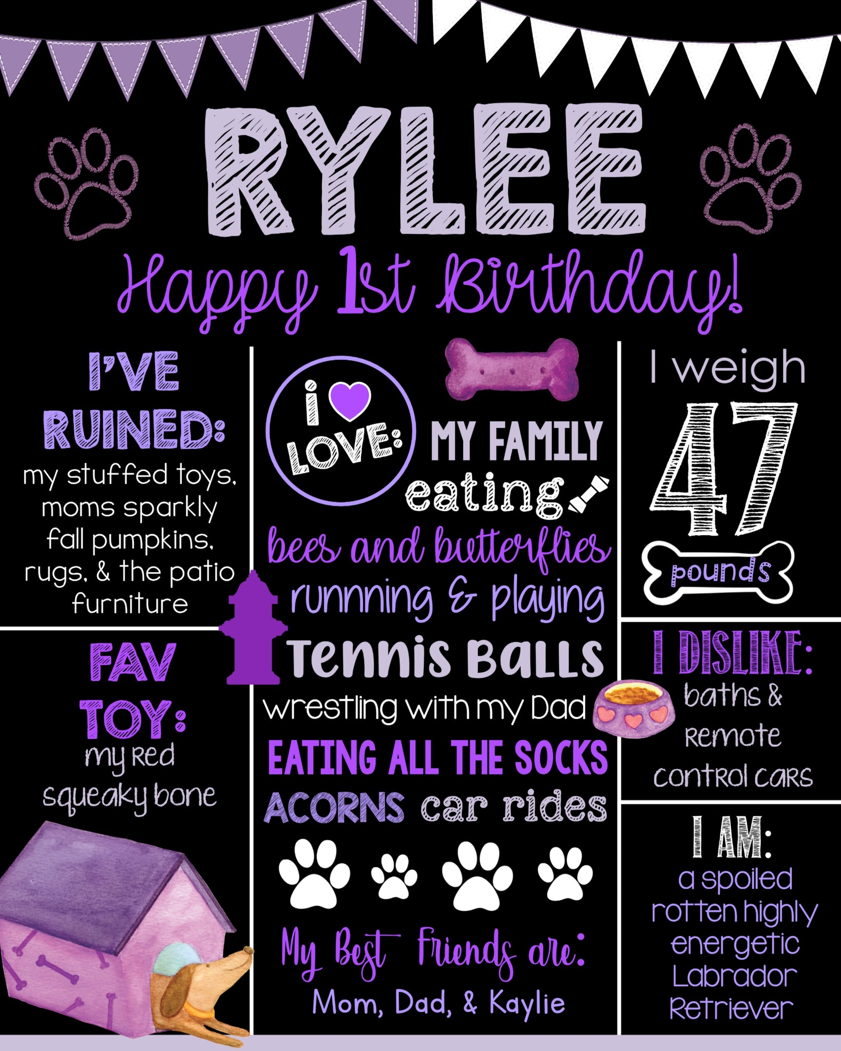 Purple Pet Birthday Board